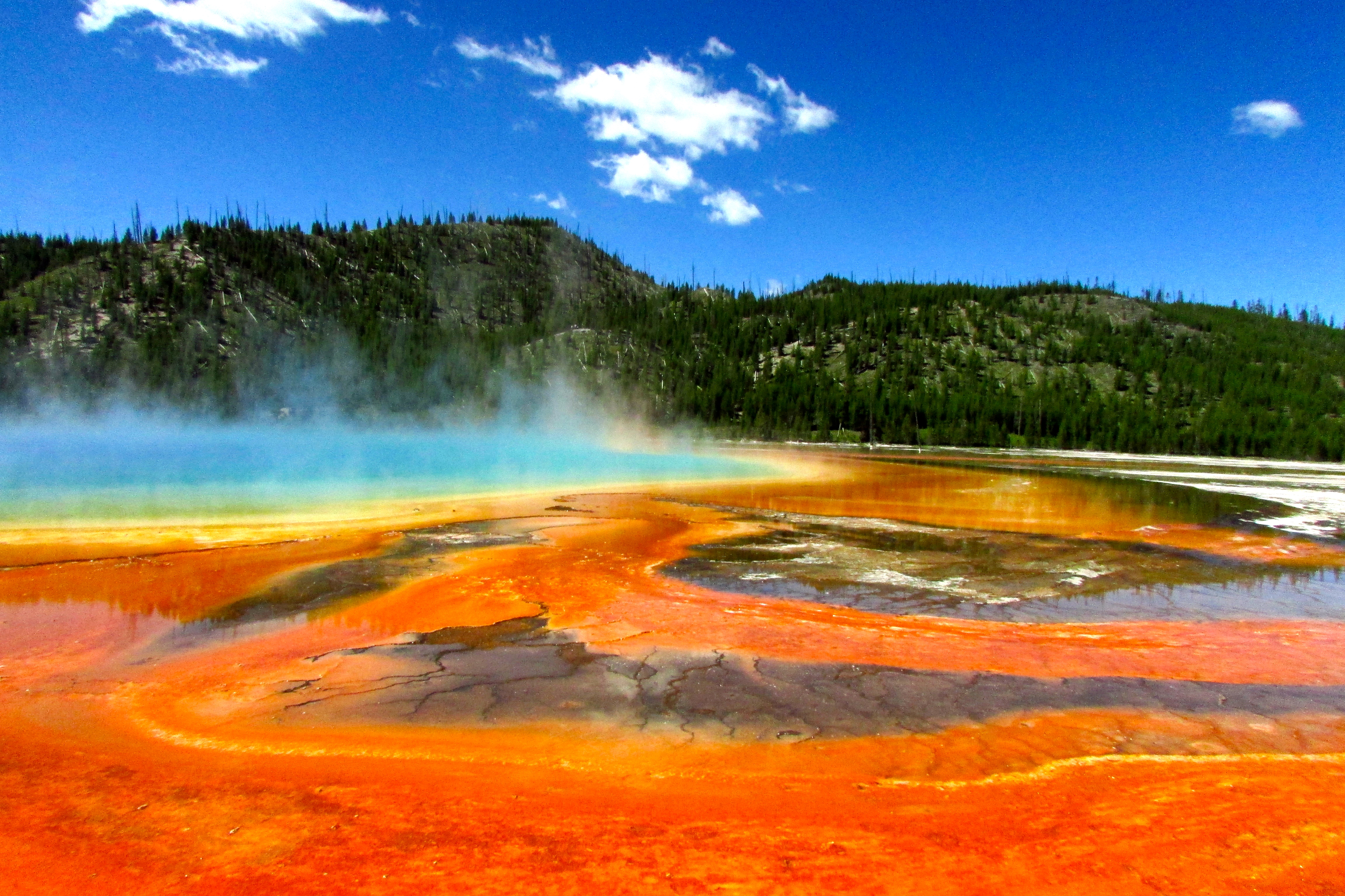 Grand Prismatic Spring in Yellowstone 