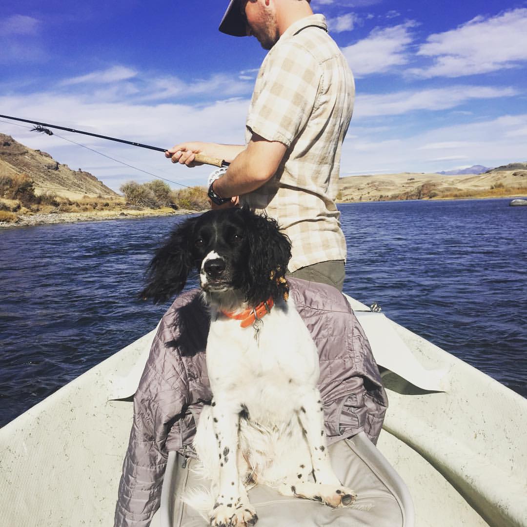 Dog on a drift boat - Montana Adventure Guides 