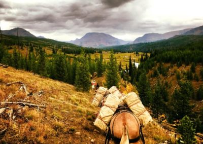 Horse Riding in Montana